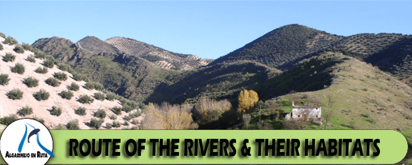 Route of the rivers and their habitats