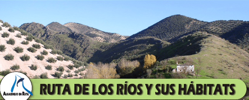 Ruta de los ríos y sus habitats