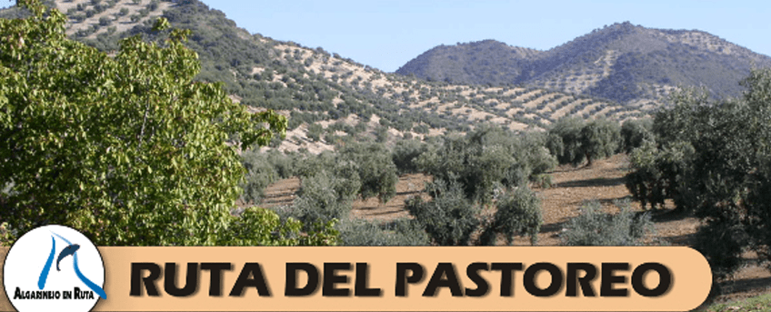 Ruta del pastoreo